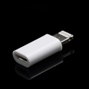 Mini Micro 5 Pin to Lightning 8 Pin Convertor Adapter for iPhone 5 iPad Mini iPod Touch 5 (with box)