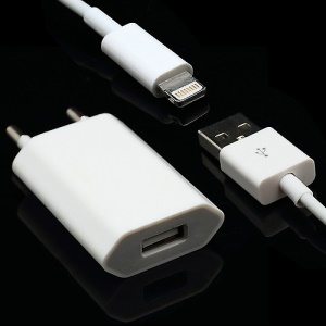 Hot 2 in 1 USB Cable & EU Plug Travel Wall charger for iPhone 5 with Package