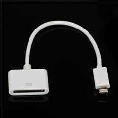 Lightning to 30-pin Adapter Cable for iPhone 5 / iPod Touch 5 / iPod Nano 7 / iPad Mini (13cm)