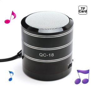 Portable FM Radio TF Card Music Player Mini Amplifier Speaker - Black