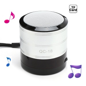 Portable FM Radio TF Card Music Player Mini Amplifier Speaker - Silver