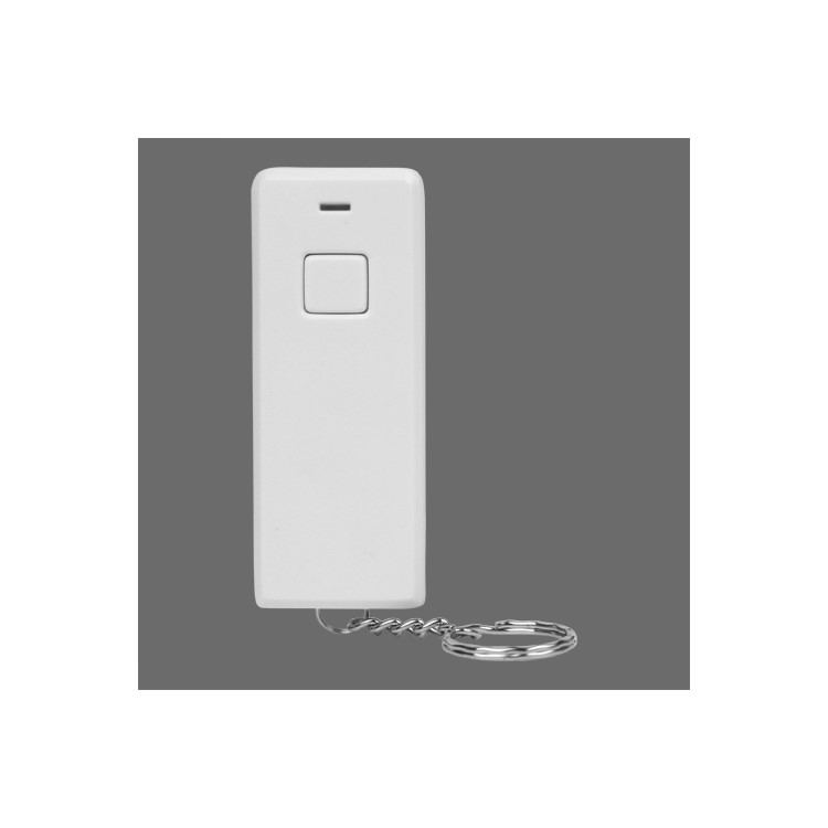 E27 Screw Light Switch Lamp Bulb Holder + 10M Remote Control