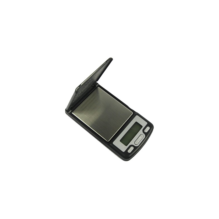 Digital Scale