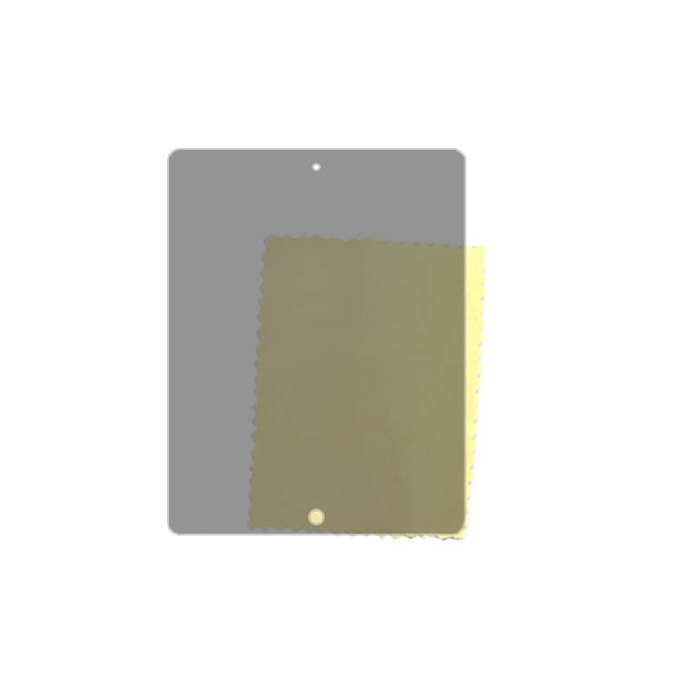 Privacy Screen Protector for iPad 2nd 3rd Generation The New iPad 4G LTE / Wi-Fi (180 Degree)