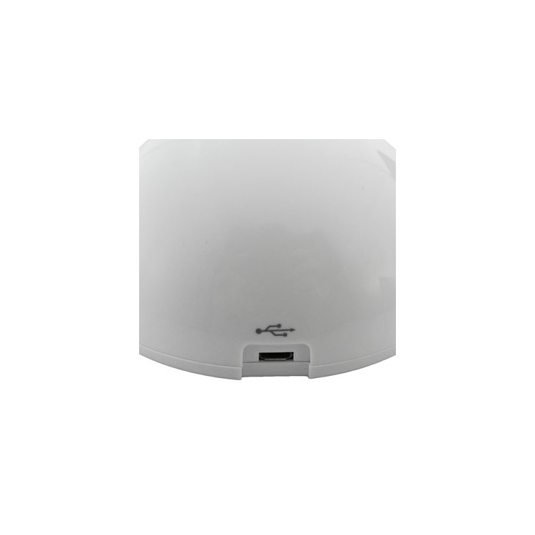 Apple iPad Dock