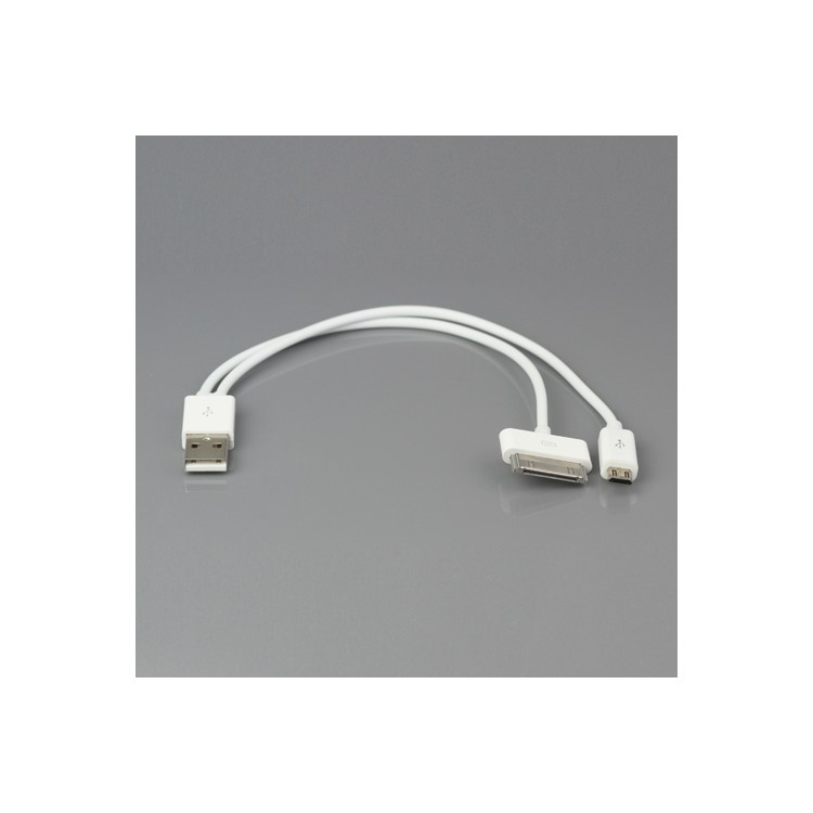 USB Data Sync Charger 2 in 1 Cable for iPad iPhone iPod Samsung Blackberry HTC
