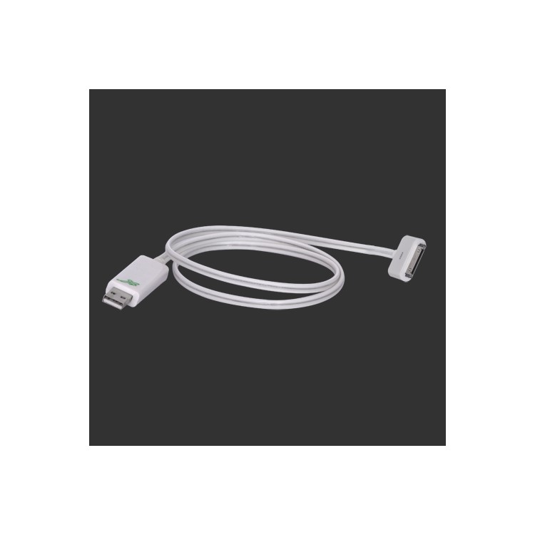 Flashing USB Sync Data Charging Cable for New iPad iPhone - White