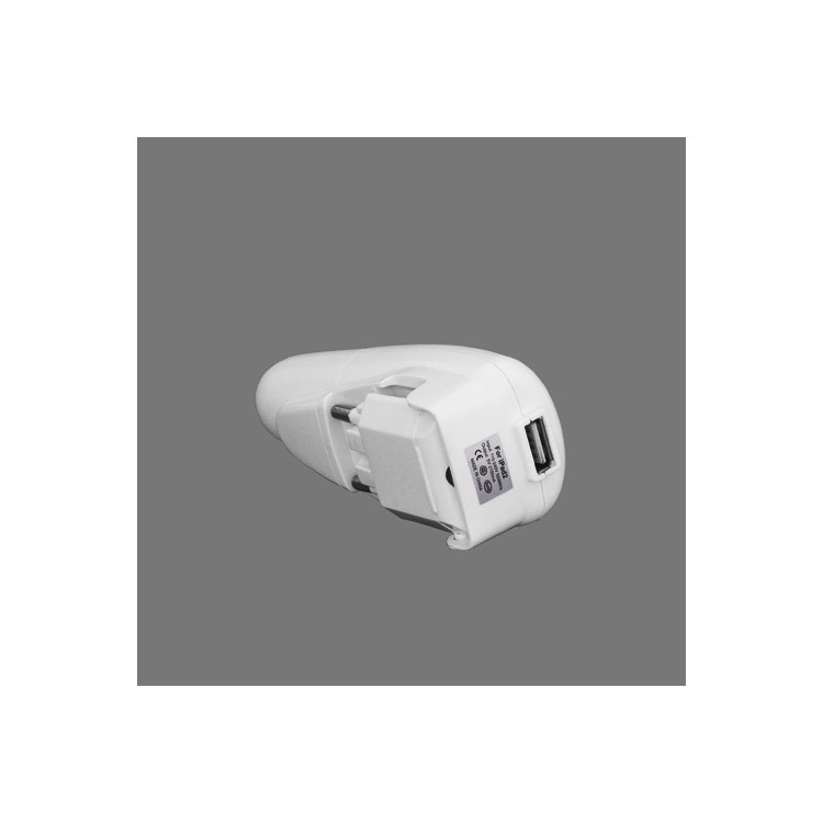 2 in 1 USB Travel Charger + Car Charger for New iPad / iPad 2 and Samsung Galaxy Tab - White