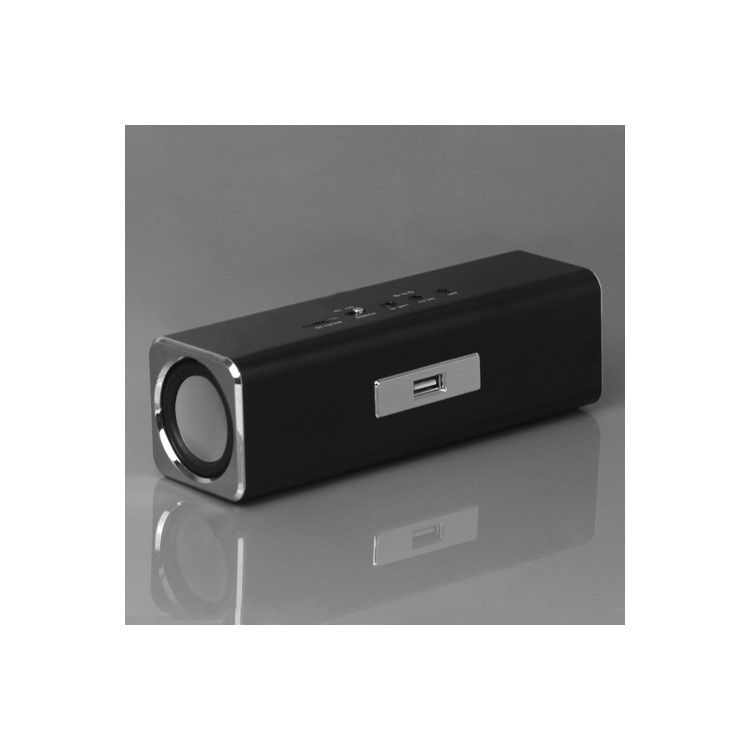 Music Angel USB Micro SD/TF Card Reader FM Radio Speaker for MP3 Mobile Phone PC - Black