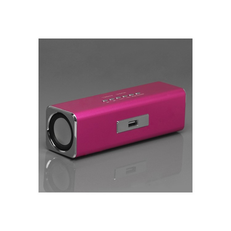 Music Angel USB Micro SD/TF Card Reader FM Radio Speaker for MP3 Mobile Phone PC - Rose