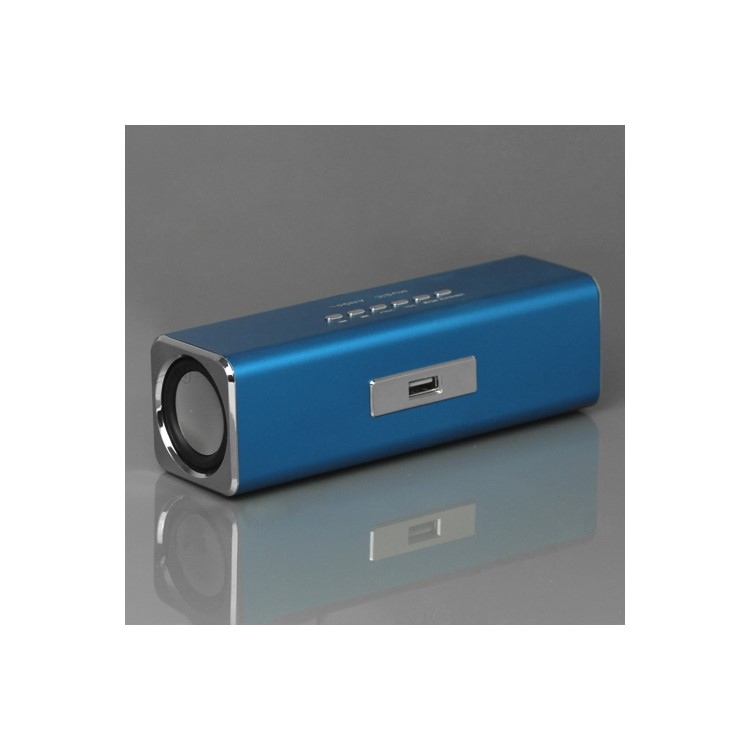 Music Angel USB Micro SD/TF Card Reader FM Radio Speaker for MP3 Mobile Phone PC - Blue