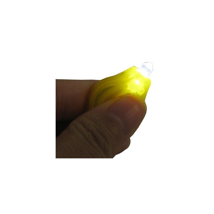Portable Mini LED Flashlight with Key Chain