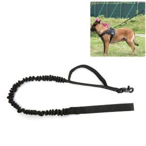 retractable outdoor dog leash