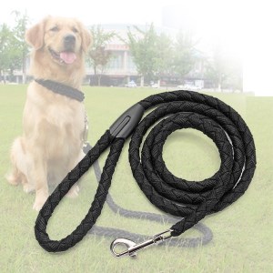 rope chain dog collar