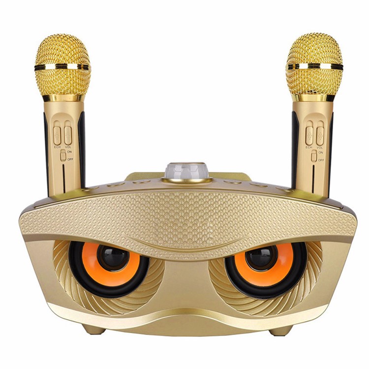 Eagle Eye Design SD-306 Bluetooth Family KTV Portable Speaker with Two Wireless Microphones - Gold