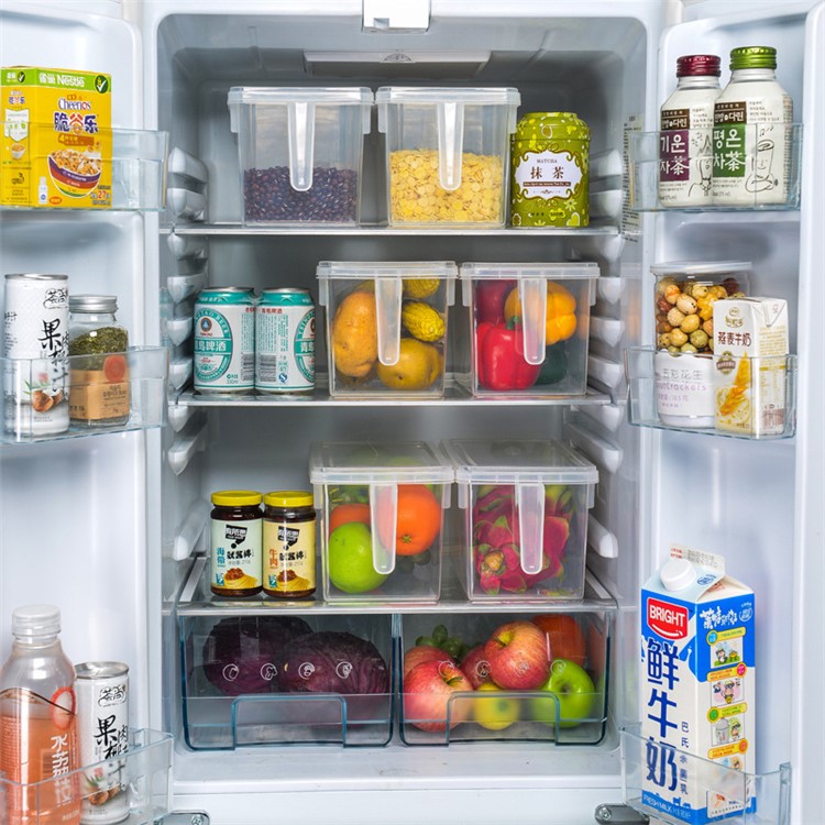Food Grade Plastic Refrigerator Organizer Container with Lid, Handle and 3 Smaller Bins - Transparent-6