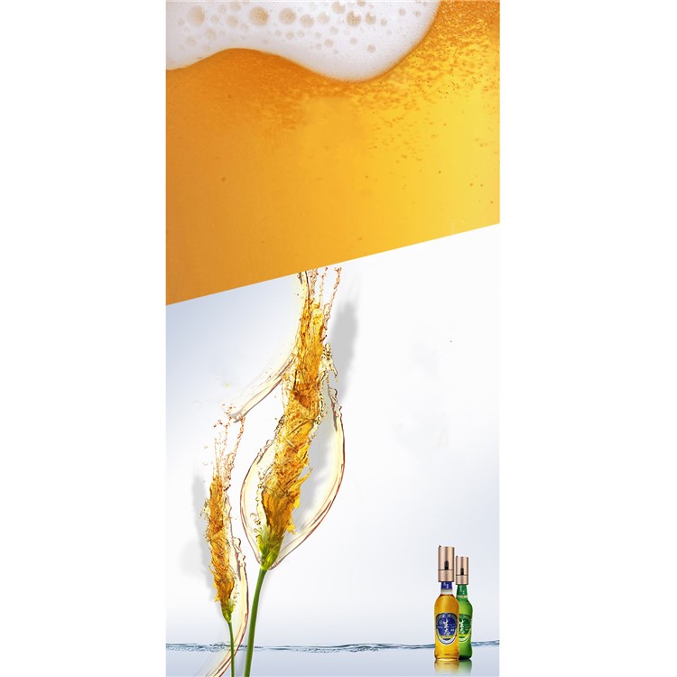 STAR COMPASS Unique Multi-functional Cocktail Shaker Portable Wine Decanter Beer Bubbler - Champagne Gold Color-2