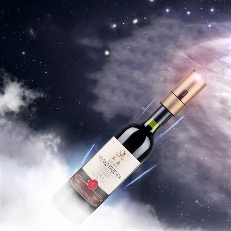 STAR COMPASS Unique Multi-functional Cocktail Shaker Portable Wine Decanter Beer Bubbler - Champagne Gold Color-5