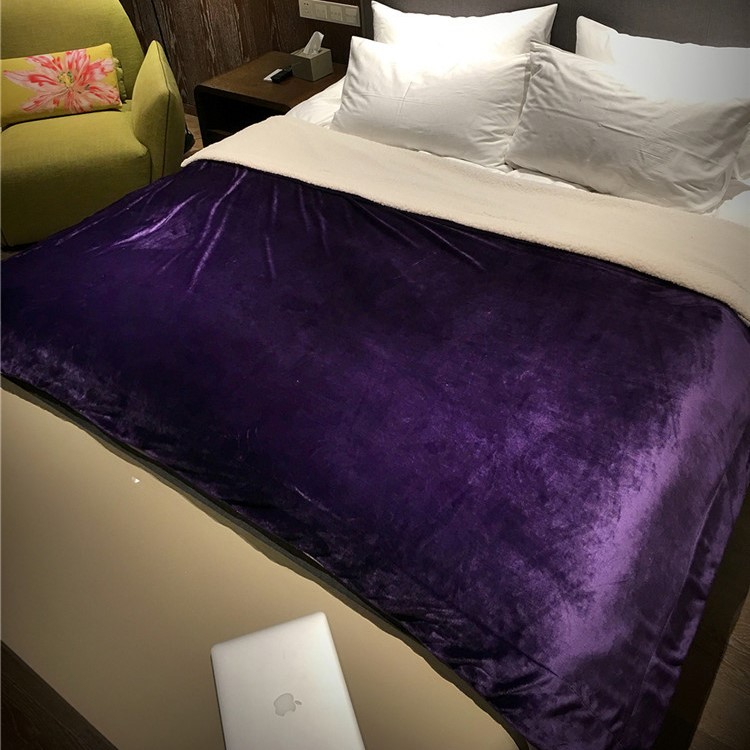 Soft Cozy Sherpa Throw Luxury Blanket Reversible Fuzzy Microfiber All Season Blanket for Bed or Couch, Size 150 x 200cm - Purple-2