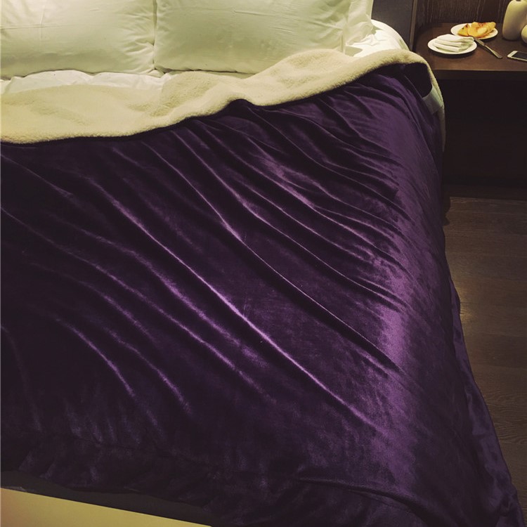 Soft Cozy Sherpa Throw Luxury Blanket Reversible Fuzzy Microfiber All Season Blanket for Bed or Couch, Size 150 x 200cm - Purple-3
