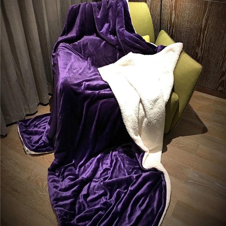 Soft Cozy Sherpa Throw Luxury Blanket Reversible Fuzzy Microfiber All Season Blanket for Bed or Couch, Size 150 x 200cm - Purple-5