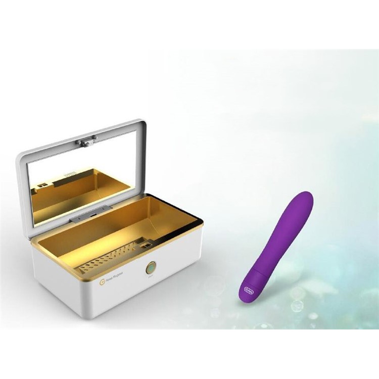 ROSA RUGOSA Portable Ozone UV Sterilizing Box Security Lock UV Sterilizer Cabinet-9