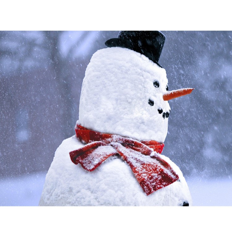 13-in-1 Snowman Making Building Set Christmas Snowman Decoration Kit Outdoor for Kids-2