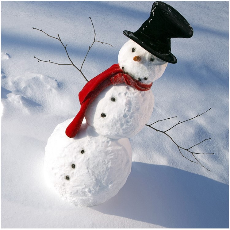 13-in-1 Snowman Making Building Set Christmas Snowman Decoration Kit Outdoor for Kids-3