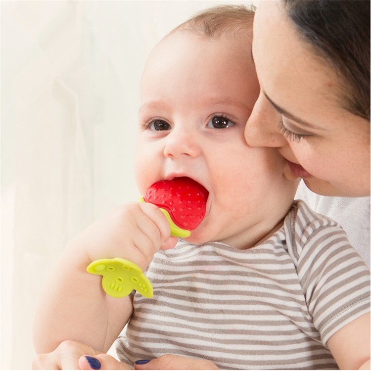 5Pcs Fruit Shape BPA Free Safe Silicone Baby Chewable Teether-9