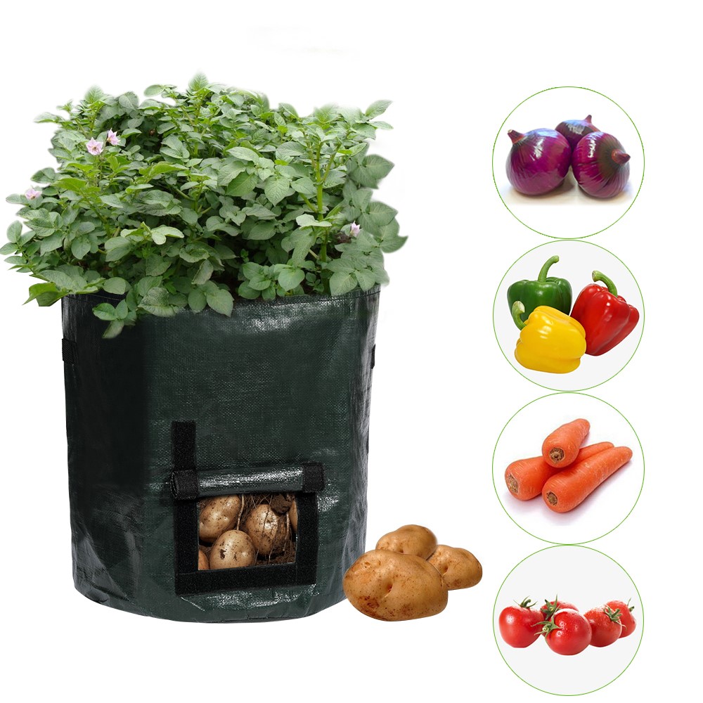 Portable Durable Planting Container Bag-1