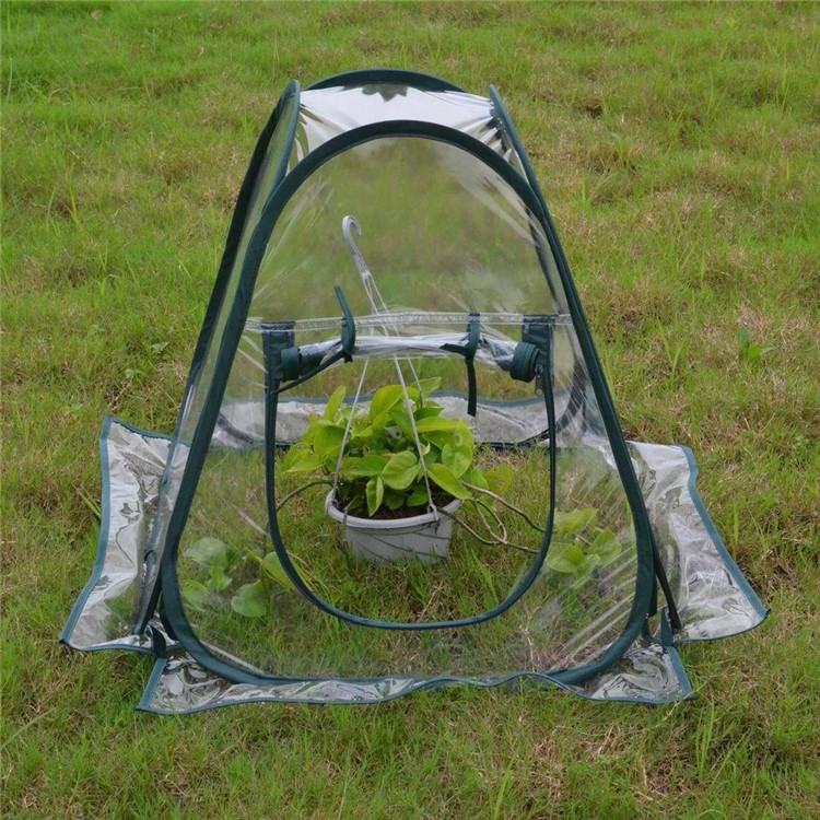 Foldable PVC Pop-up Greenhouse Cover with Army Green Frame for Indoor Outdoor Plant-5