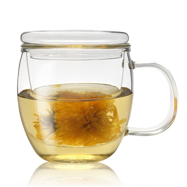 Tasse À Thé En Verre À Mur Simple De 450ML Avec Couvercle Et Panier À Infusion-1