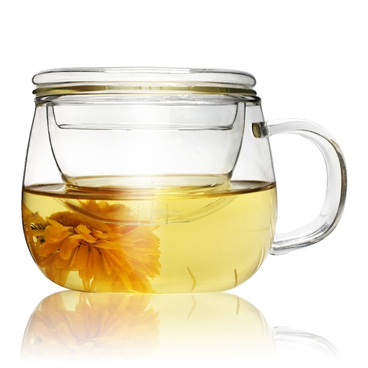 300ML Tea Glass Mug with Lid and Infuser Basket-1