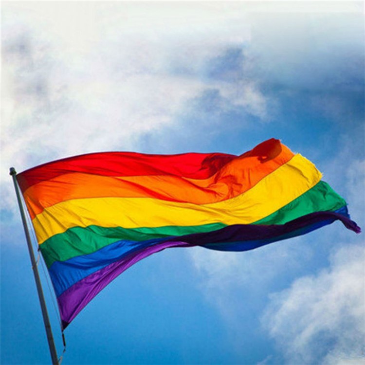 Drapeau De L'arc-en-ciel Gaie De Fierté De Paix De Drapeau De Polyester De Polyester De LGBT D'argile-10