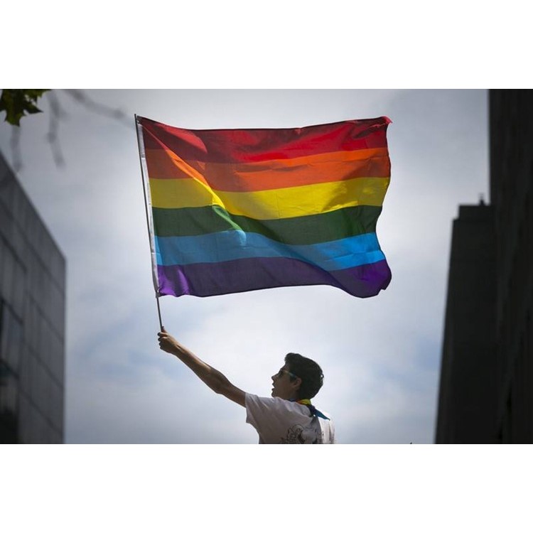 Drapeau De L'arc-en-ciel Gaie De Fierté De Paix De Drapeau De Polyester De Polyester De LGBT D'argile-7