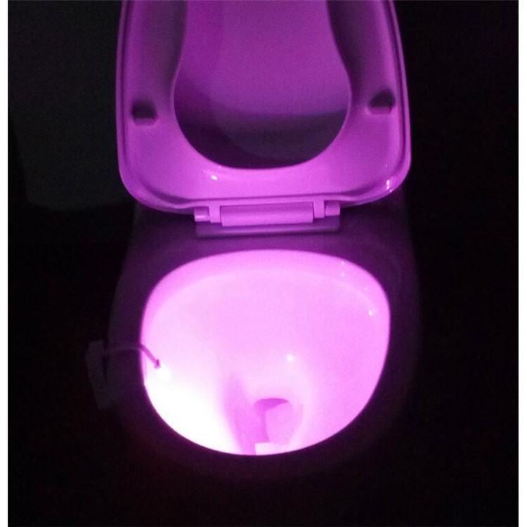 Lampe De Salle De Bains À 8 Lampes À DEL À Induction Pour Corps Humain-7