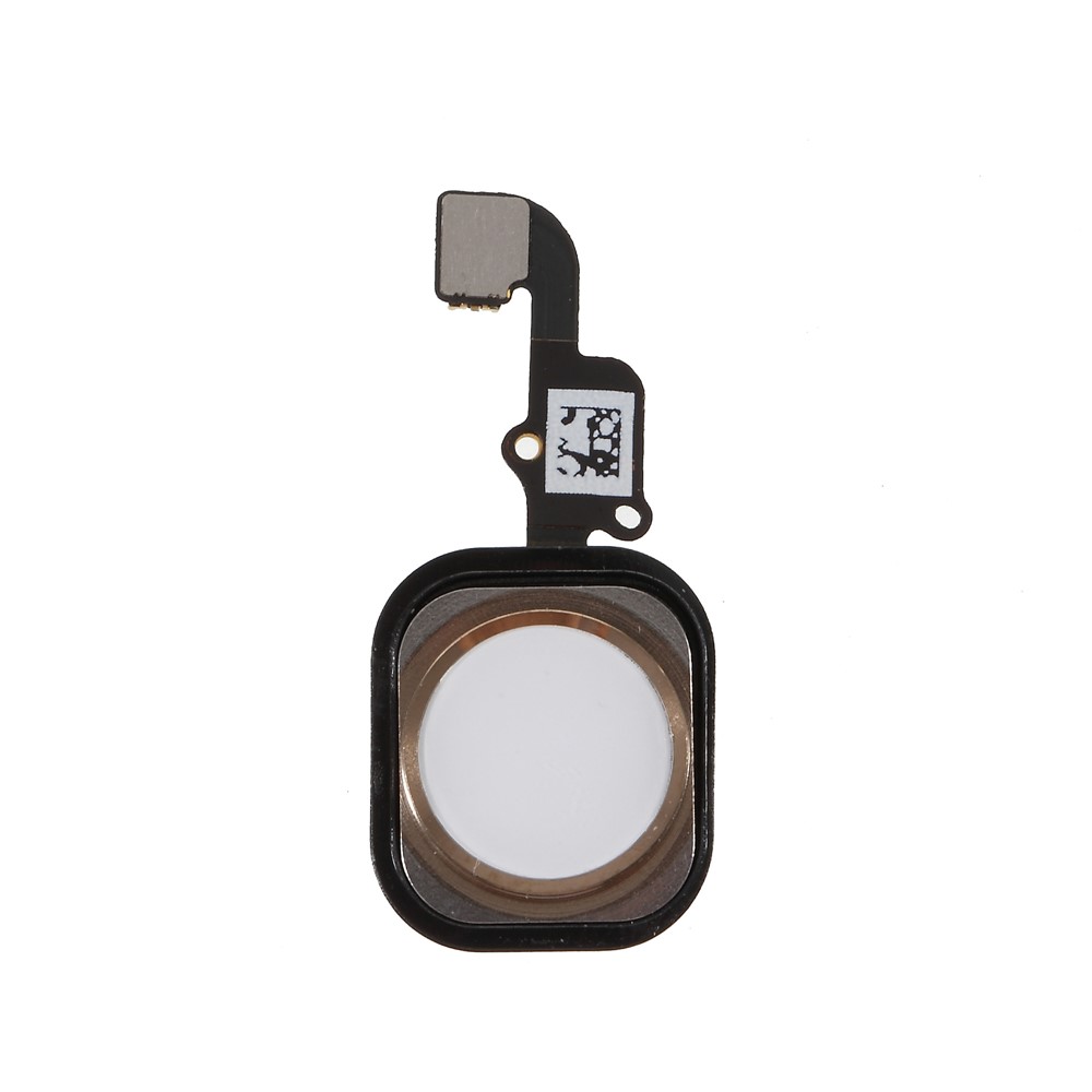 Home Key Fingerprint Button Flex Cable Replacement with Rubber Ring Gasket for iPhone 6 Plus / 6 - Gold-1