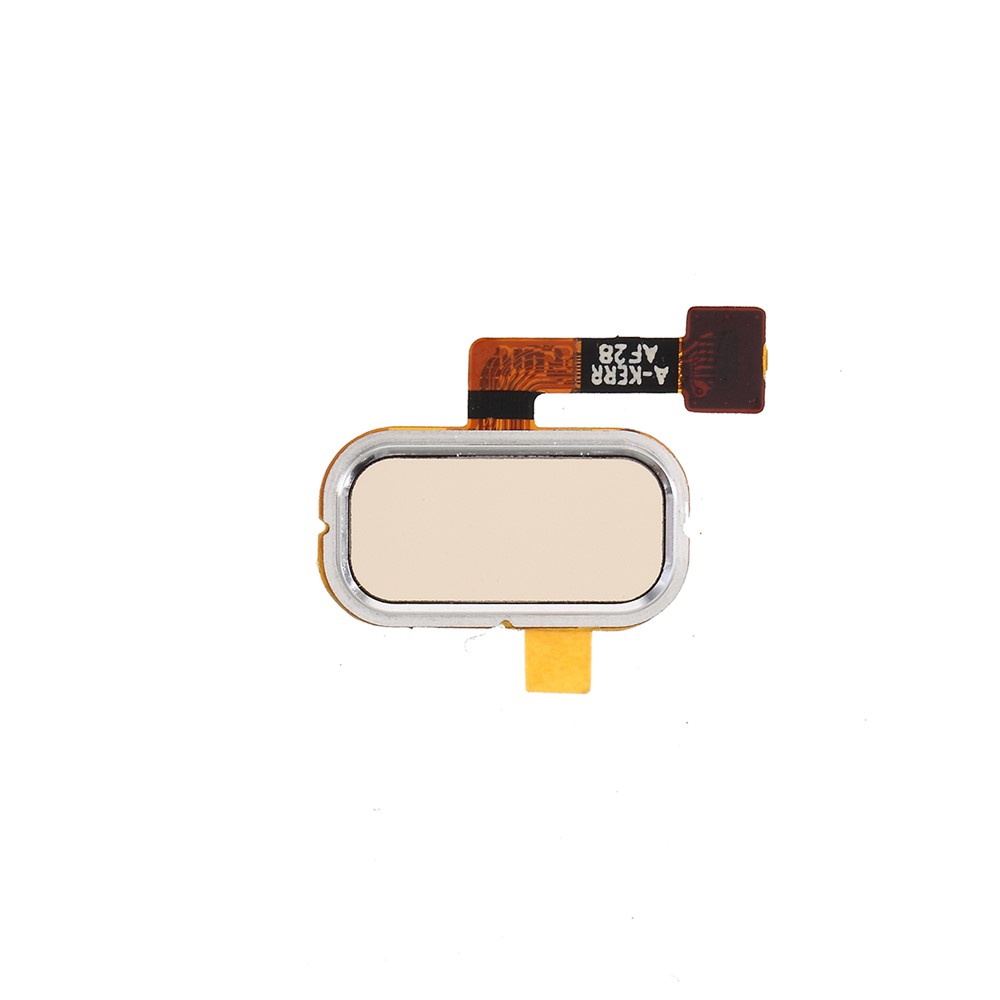 OEM Home Key Fingerprint Button Flex Cable Repair Part for Asus Zenfone 3 ZE520KL ZE552KL - Gold-1