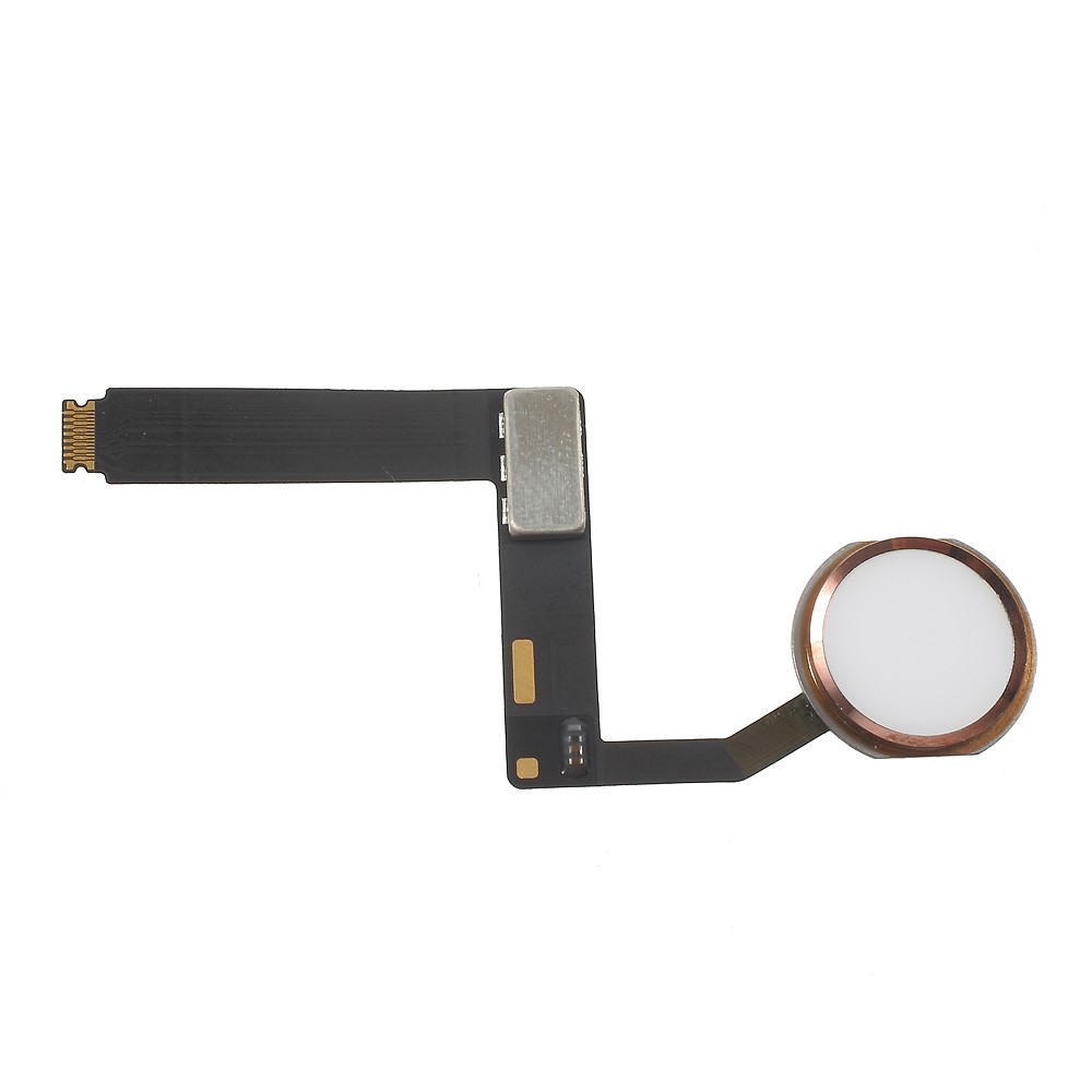 Para Ipad Pro 9.7 Chave Flex Cable (desmontagem Oem) (sem Função de Identificação de Impressão Digital) - Cor de Ouro Rosa-2