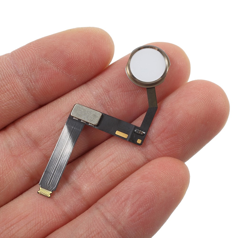 Home Button Flex Cable (OEM Disassembly) for iPad Pro 9.7 (No Fingerprint Identification Function) - Gold Color-3