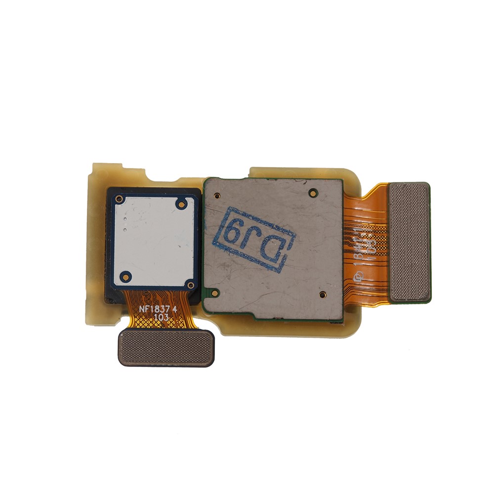 Partie Arrière Du Module De Caméra Arrière Grand OEM Pour Samsung Galaxy S10e G970U (version Américaine)-2