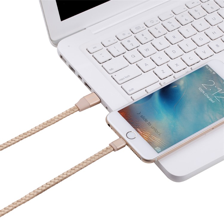 MOMAX MFI Genuine Leather Woven Lightning 8pin Cable Kit for iPhone iPad iPod (11cm+1m) - Gold-9