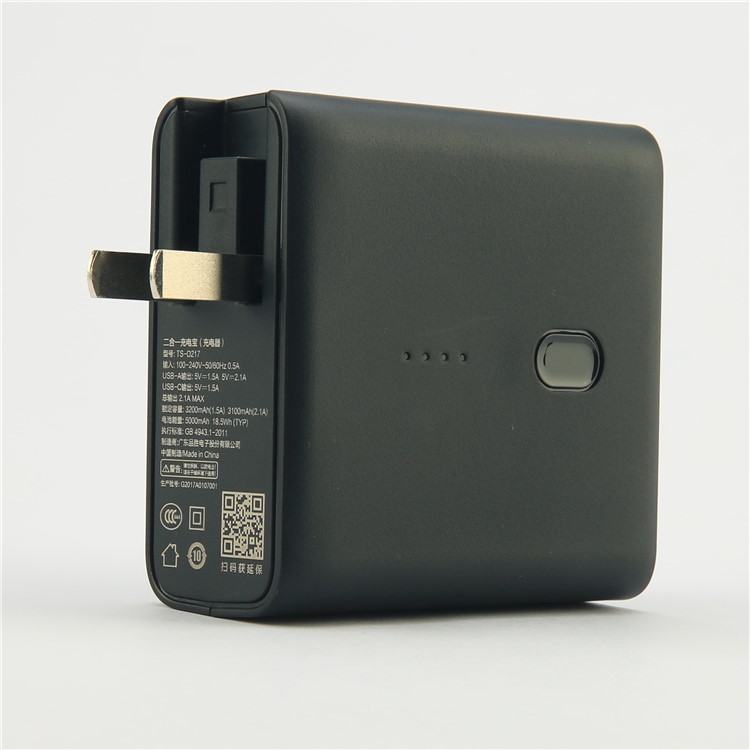 PISEN 2-in-1 Wall Travel Charger with USB-C Output 5000mAh External Battery Power Bank-64