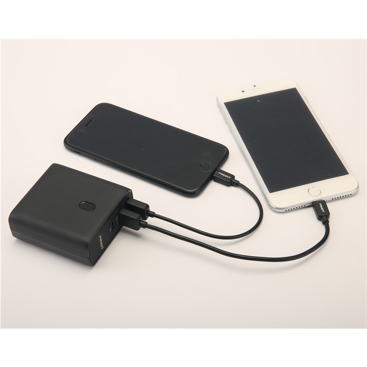 PISEN 2-in-1 Wall Travel Charger with USB-C Output 5000mAh External Battery Power Bank-112