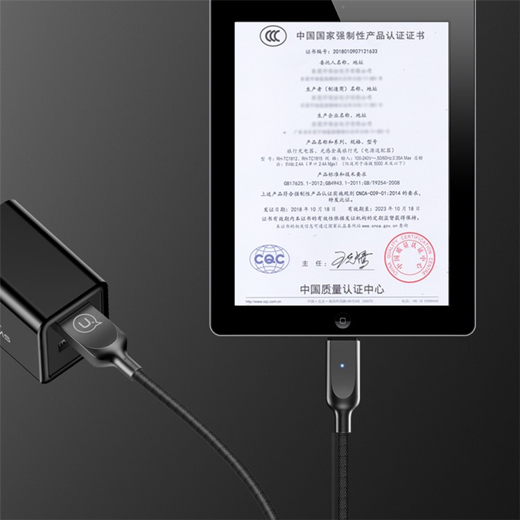 USAMS US-CC058 T10 2.4A Dual USB Travel Wall Charger with Foldable Plug - CN Standard Plug / Black-4
