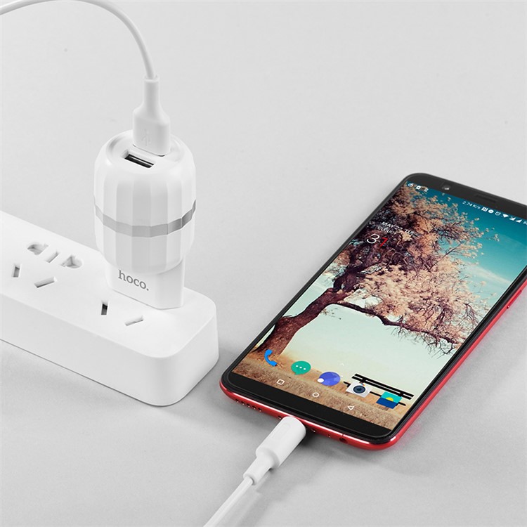 HOCO C41A Wisdom Double Ports USB Wall Charger for Smart Phone Tablet, etc- EU Plug-10