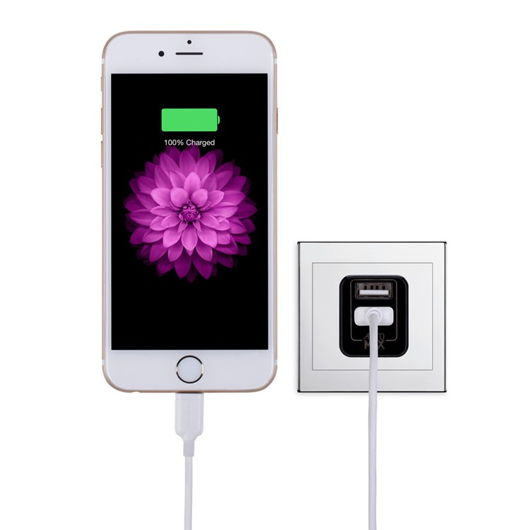 MOMAX U.Bull Junior 5V 2.4A Dual USB Travel Charger for Cellphone Tablet - Black / US Plug-11