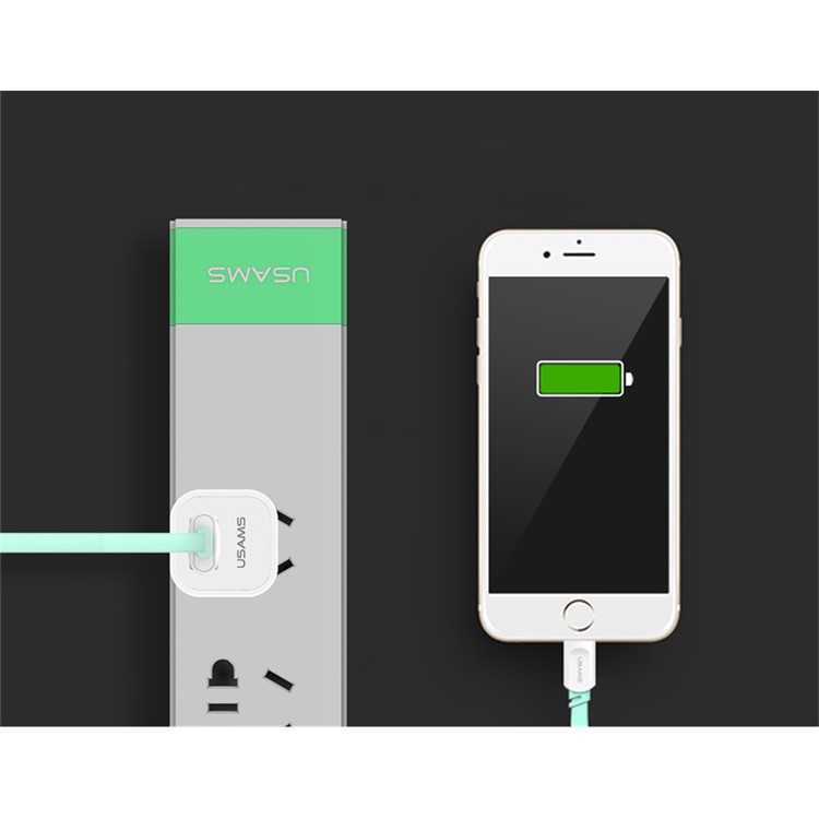 USAMS 1A USB AC Power Adapter Wall Travel Charger for iPhone Samsung - White / ECN Standard (US-CC018)-6