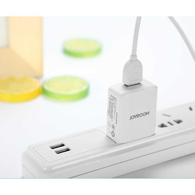JOYROOM 5V2A Single USB Travel Wall Charger for iPhone Samsung - White/CN Standard Plug-10