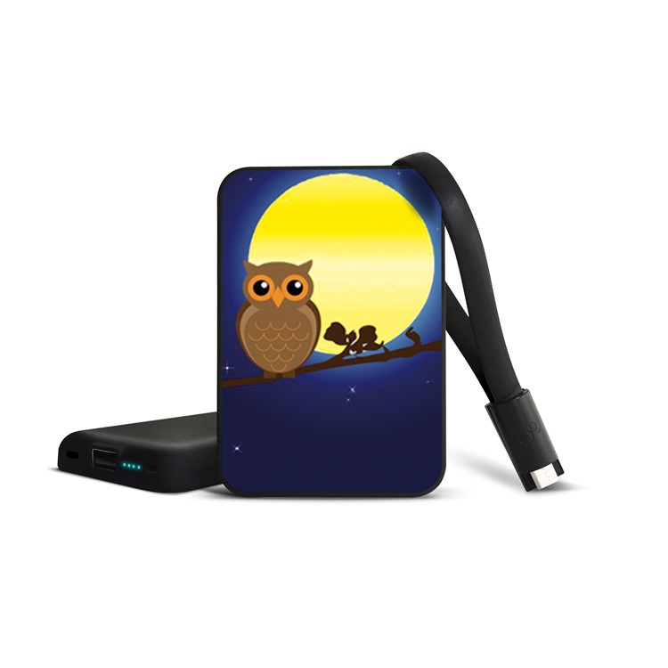 Cartoon Series Portable 10000mAh Power Bank for Samsung, iPhone, Huawei etc. - Owl on the Branch-2